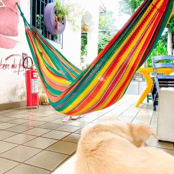 Zili Pernambuco - Hostel Pousada 累西腓 外观 照片
